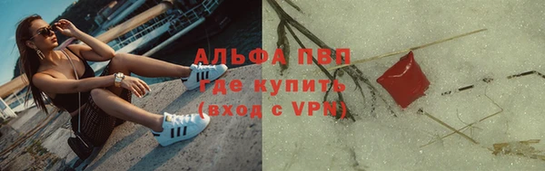 стафф Алексин