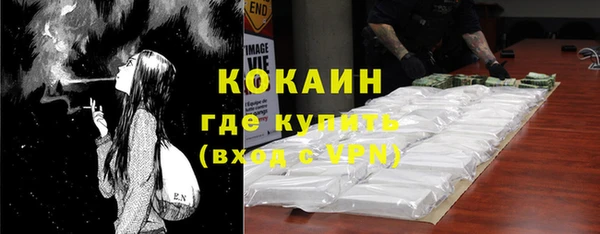стафф Алексин