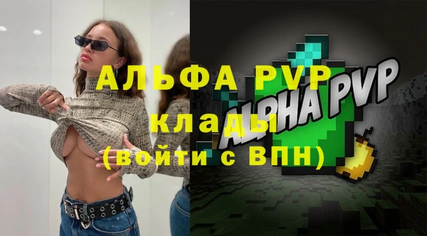 стафф Алексин