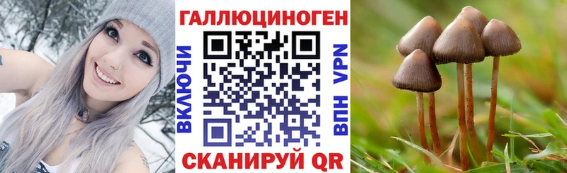 Псилоцибиновые грибы мицелий  blacksprut ONION  Навашино 